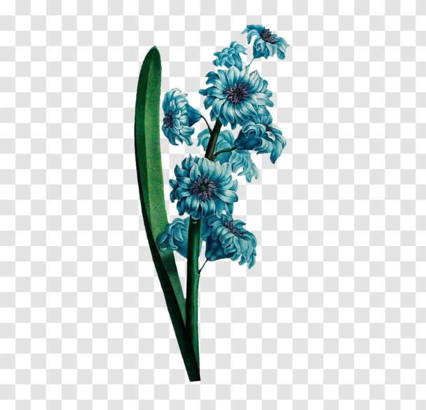 Cut Flowers Plant - Upload - Flower Transparent PNG