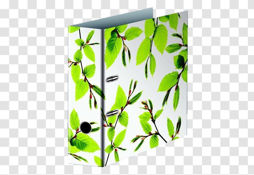 Twig Plant Stem Leaf Rectangle Transparent PNG