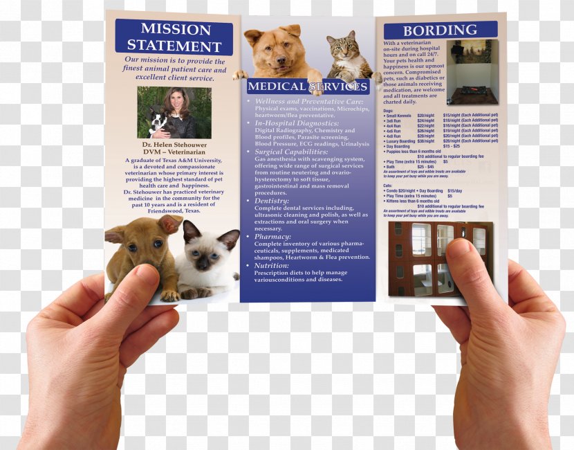 Brochure Advertising Company Dog Breed - Best Transparent PNG