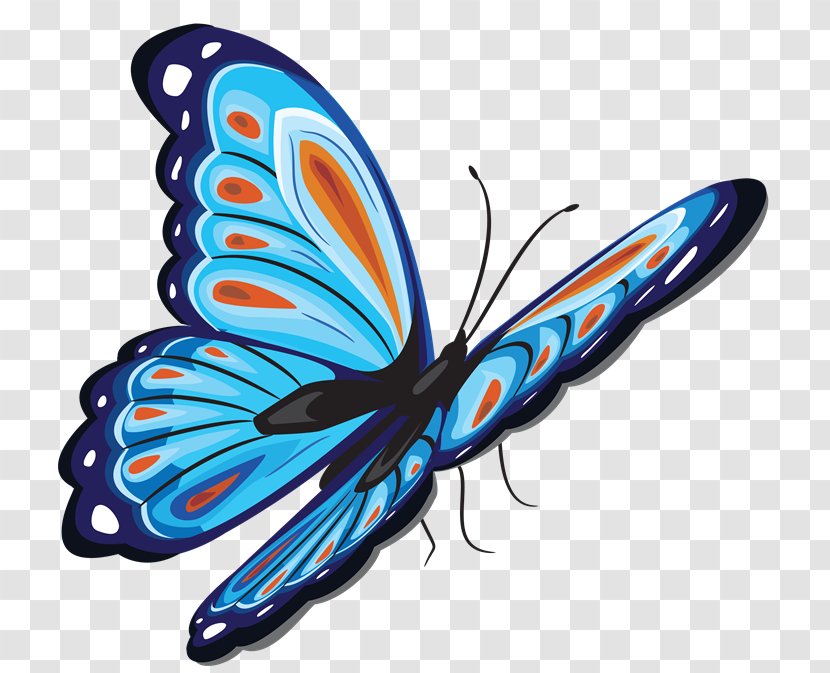 Butterfly Clip Art - Papilio Ulysses Transparent PNG
