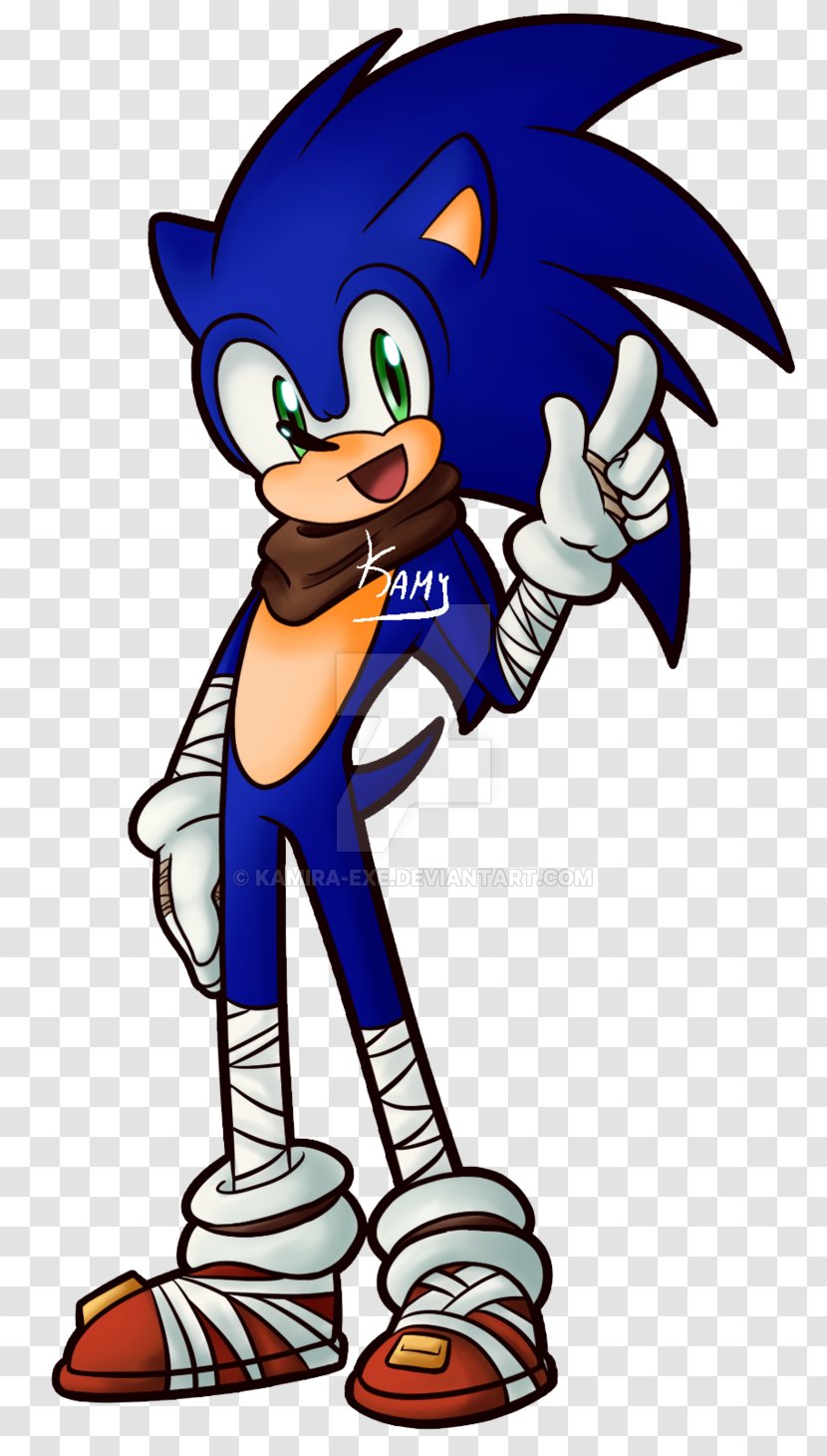 Sonic The Hedgehog Amy Rose Drawing Tails Boom - Vertebrate Transparent PNG