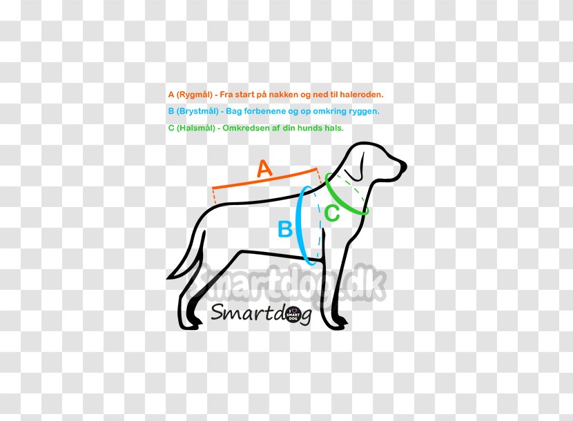 Dog Breed Puppy Sporting Group Labrador Retriever Leash - Diagram Transparent PNG