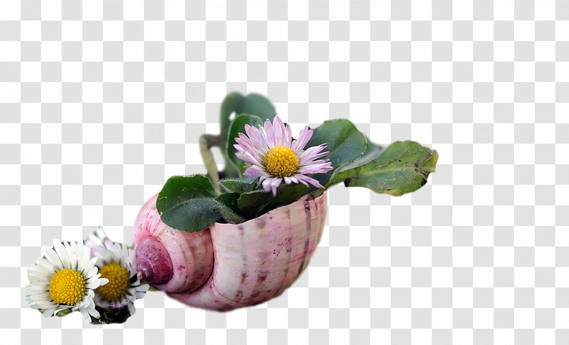 Flower Flowerpot Transparent PNG