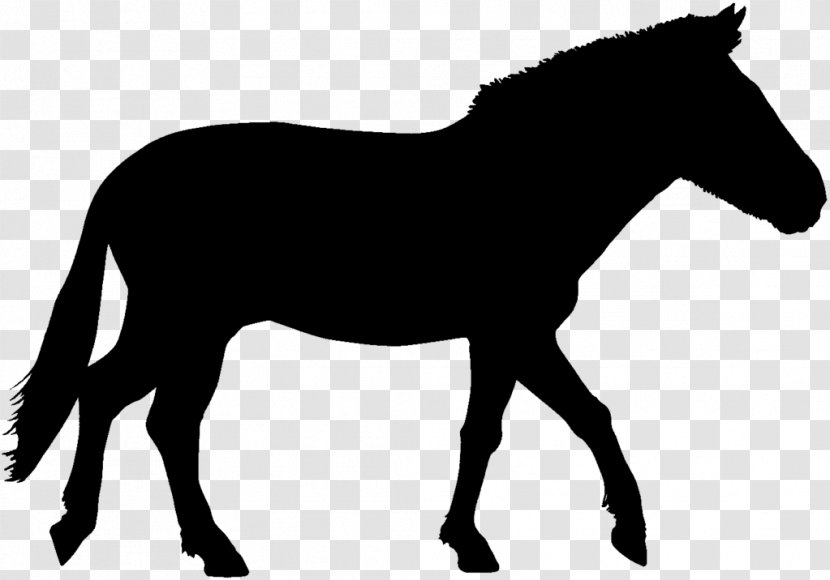 Mustang Stallion Foal Pony Mule - Fauna - Wild Vector Transparent PNG