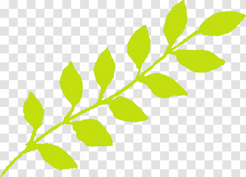 Leaf Green Plant Flower Branch Transparent PNG