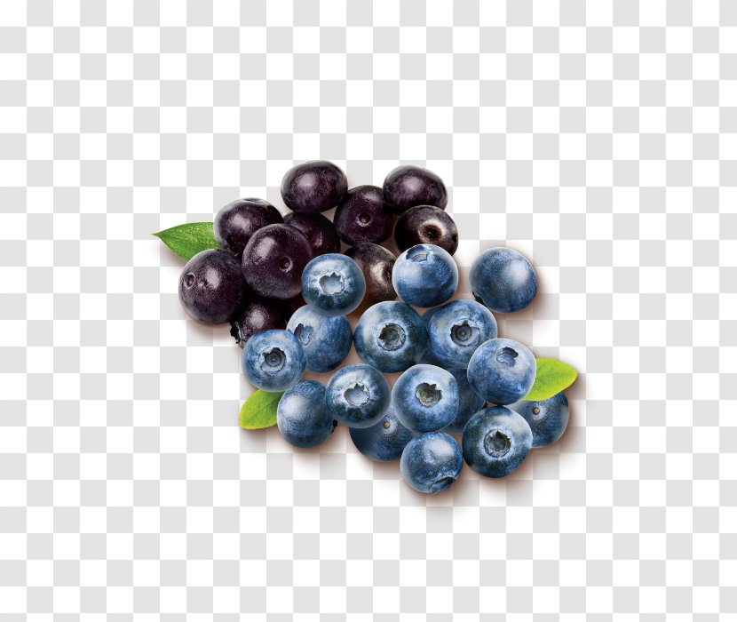 Grape Cartoon - Extract - Seedless Fruit Chokeberry Transparent PNG