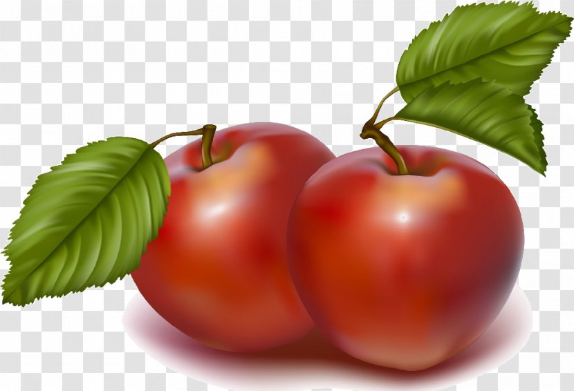 Oak Glen, San Bernardino County, California Fruit Apple Clip Art - Royaltyfree Transparent PNG