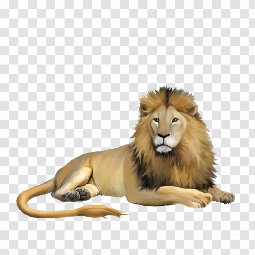 Lion Cartoon Animal Illustration Transparent PNG