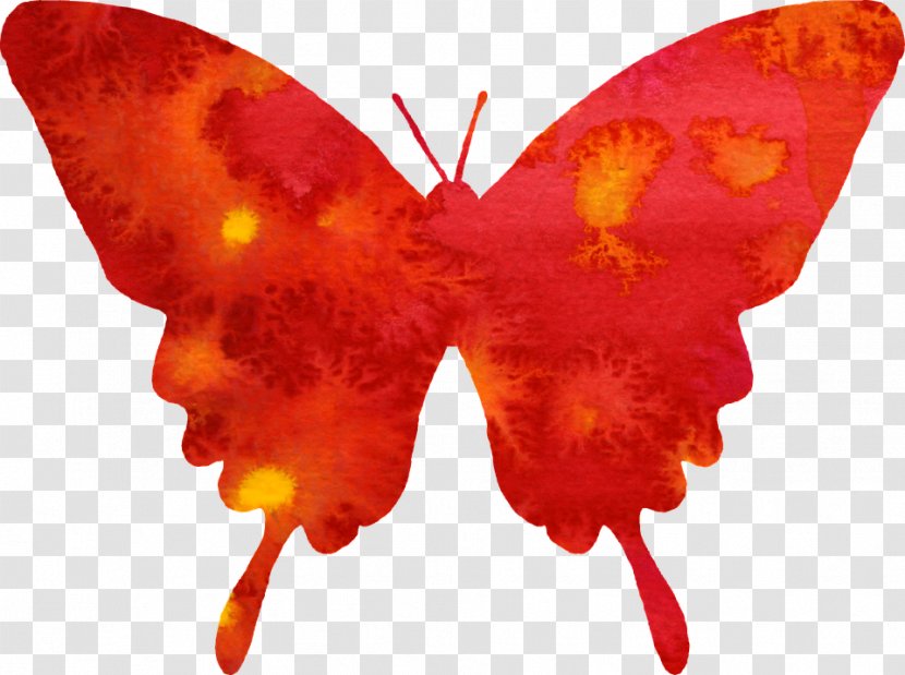 Butterfly Watercolor Painting Red Clip Art - Moths And Butterflies - Cliparts Transparent PNG