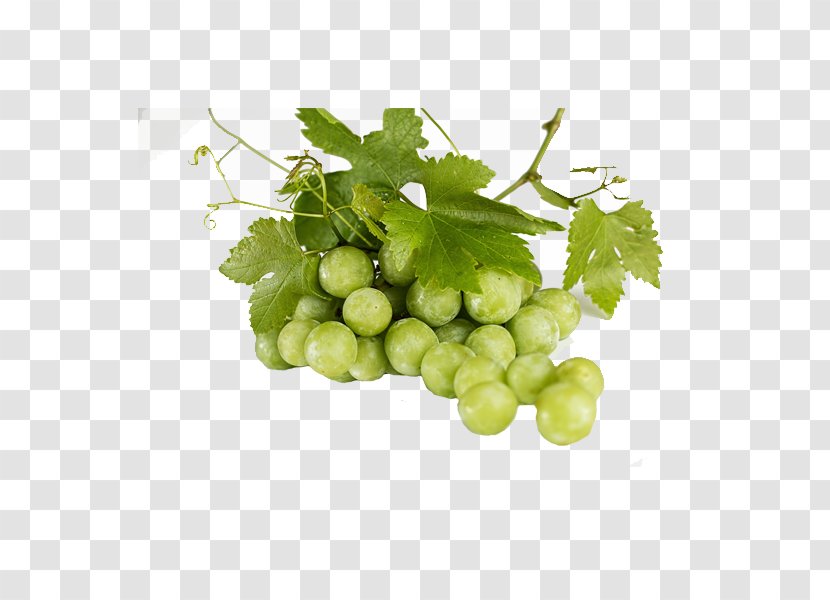 Common Grape Vine Green Tea Fruit - Bunch Of Grapes Transparent PNG