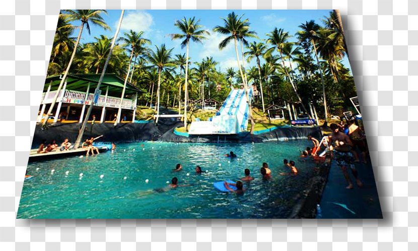 Slip N Fly Swimming Pool Resort Water Park Leisure - Slide Transparent PNG