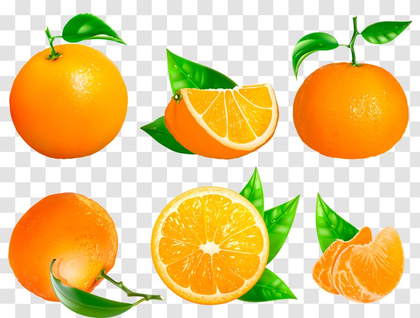 Clementine Mandarin Orange Tangerine Blood Bitter - Tangelo - Grapefruit Transparent PNG