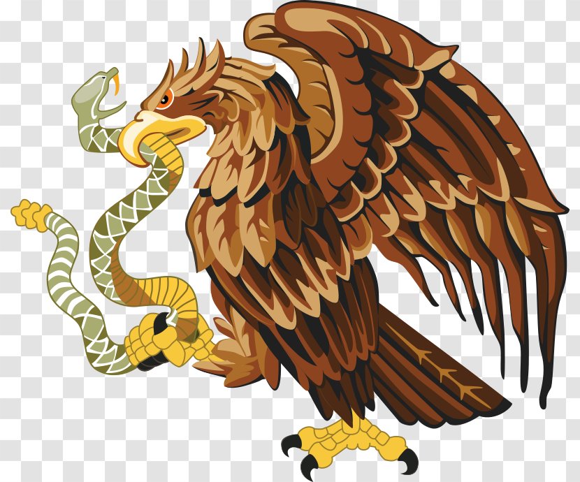 Second Federal Republic Of Mexico Mexican Empire First Coat Arms - Orange Snake Cliparts Transparent PNG