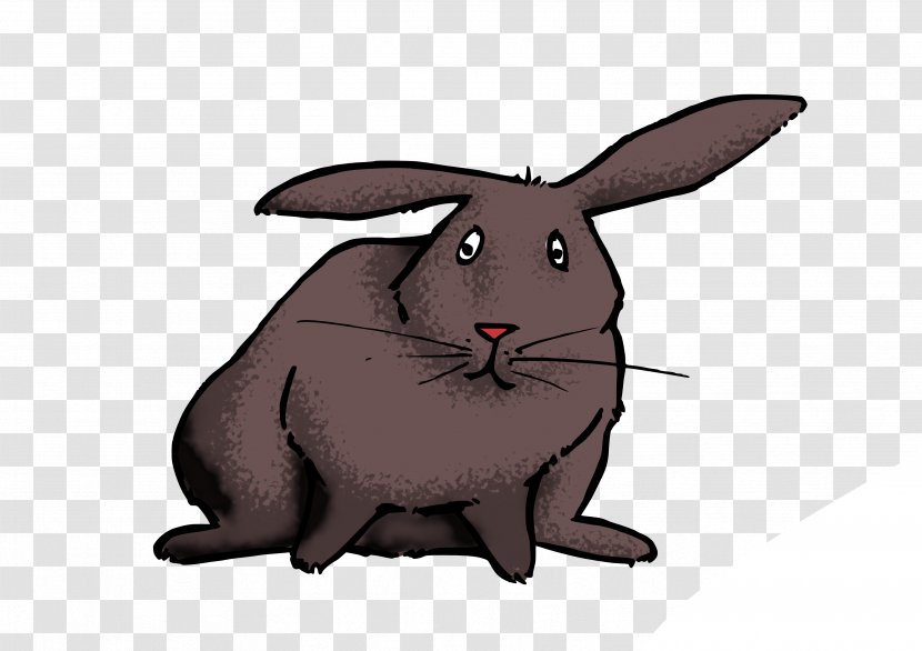 Domestic Rabbit Hare Rat Whiskers Dog - Snout Transparent PNG