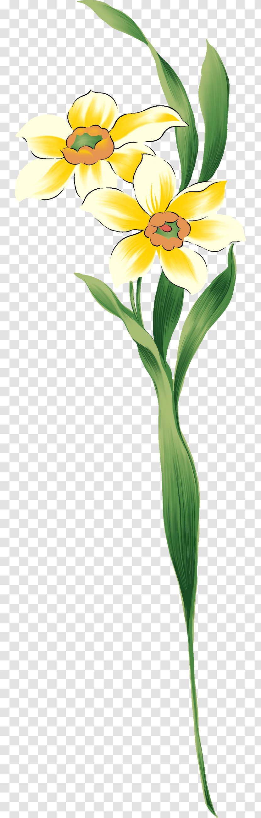 Flower - Art - Tipi Transparent PNG