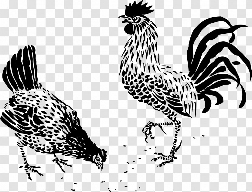 Chicken Rooster Drawing Clip Art - Livestock Transparent PNG