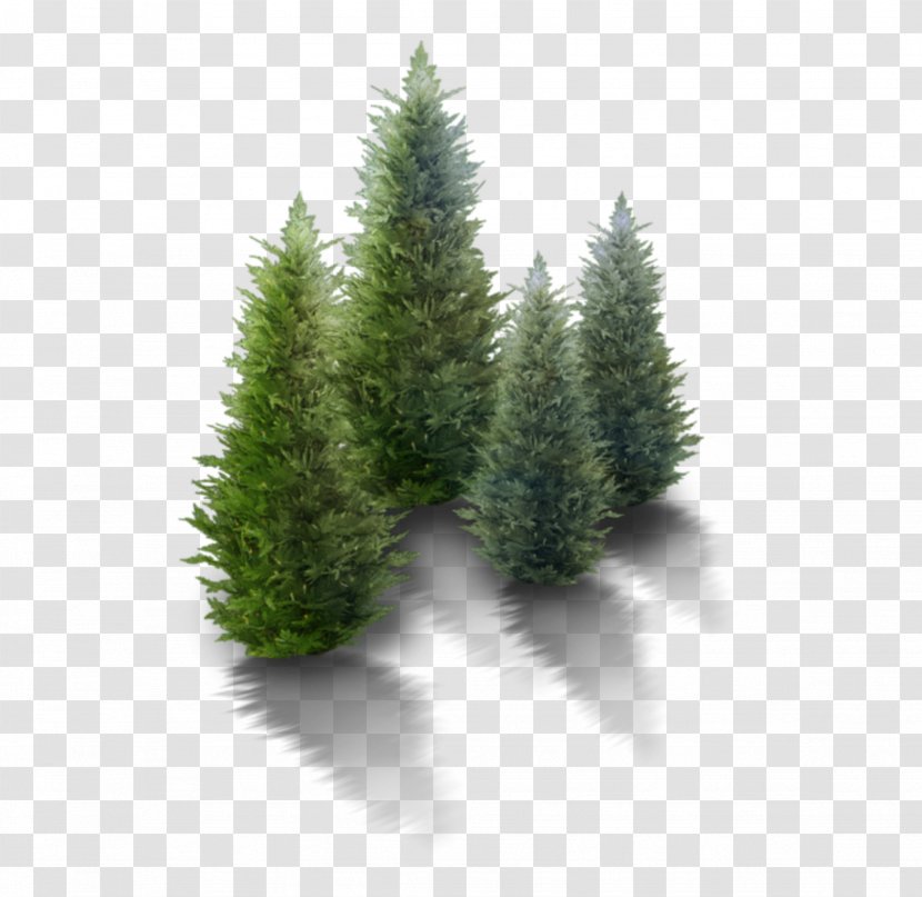 Clip Art Christmas Tree Vector Graphics - River Juniper Transparent PNG
