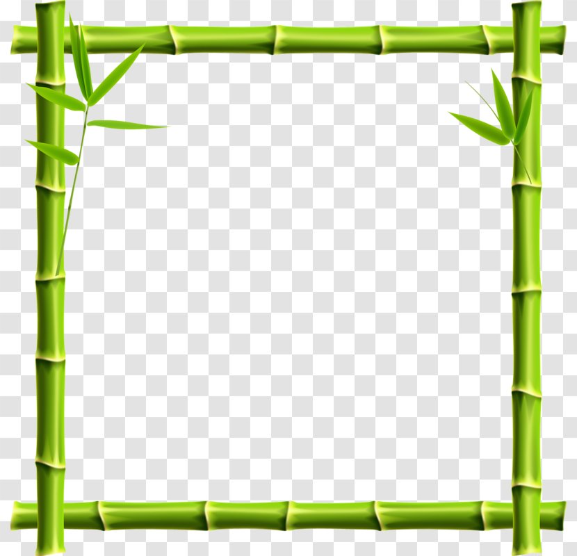 Giant Panda Picture Frame Bamboo Clip Art - Stock Photography - Border Transparent PNG