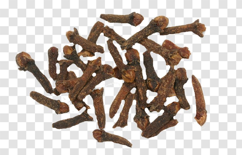 Clove Maluku Islands Spice Nutmeg Herb - Aroma Compound - Arthritis Transparent PNG