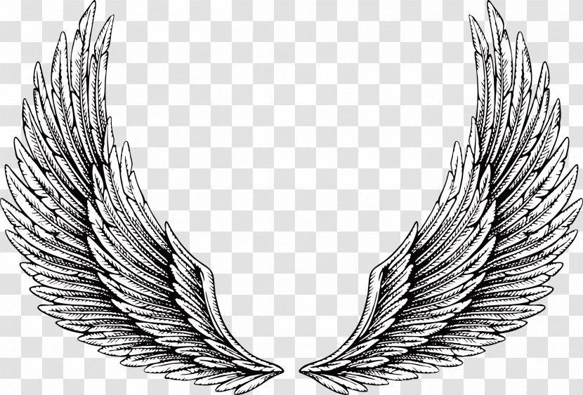 Tattoo Wing Illustration - Drawing Transparent PNG