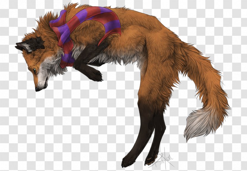 Dog Breed Red Fox Fur Snout - Carnivoran Transparent PNG
