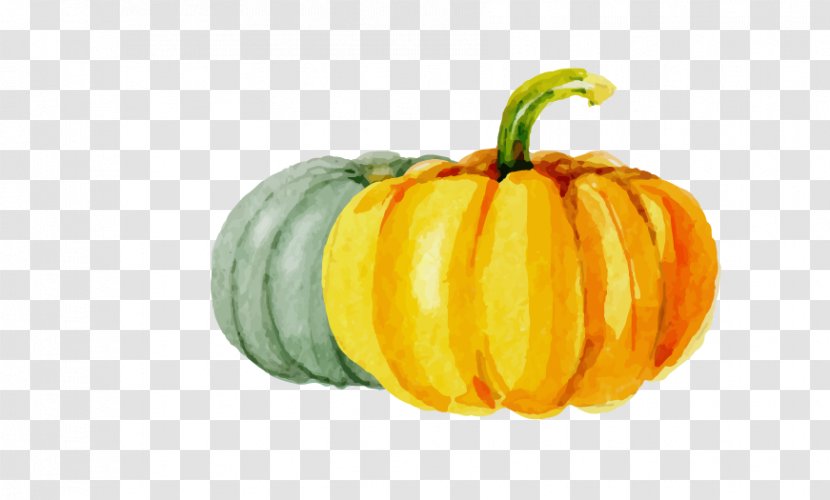 Calabaza Kabocha Pumpkin Halloween - Natural Foods - Drawing Transparent PNG