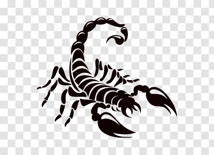 Scorpion Logo Drawing - Arthropod - Scorpions Transparent PNG