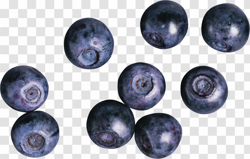 European Blueberry Bilberry - Sphere - Blueberries Transparent PNG