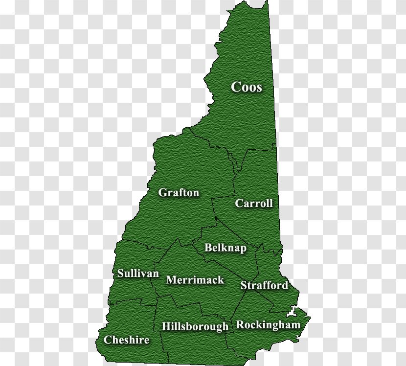 Strafford County, New Hampshire Sullivan Carroll Belknap Errol - Tree - Hot Map Transparent PNG