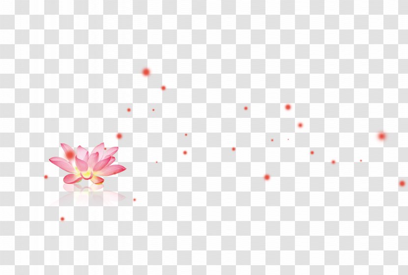 Petal Sky Close-up Wallpaper - Closeup - Lotus Transparent PNG