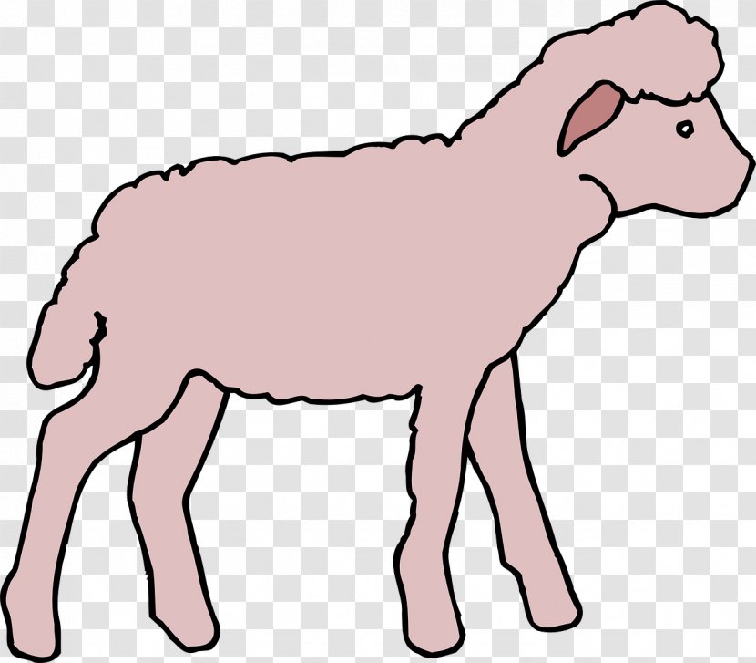 Sheep Clip Art - Goats Transparent PNG