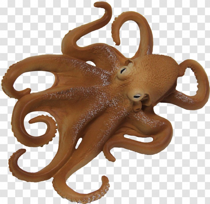 Octopus Aquatic Animal Coleoids Invertebrate - Cmaptools - Gold Powder Transparent PNG