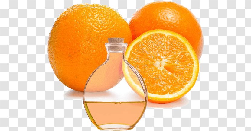 Blood Orange Peel Tangerine Tangelo Clementine - Cosmetics Transparent PNG