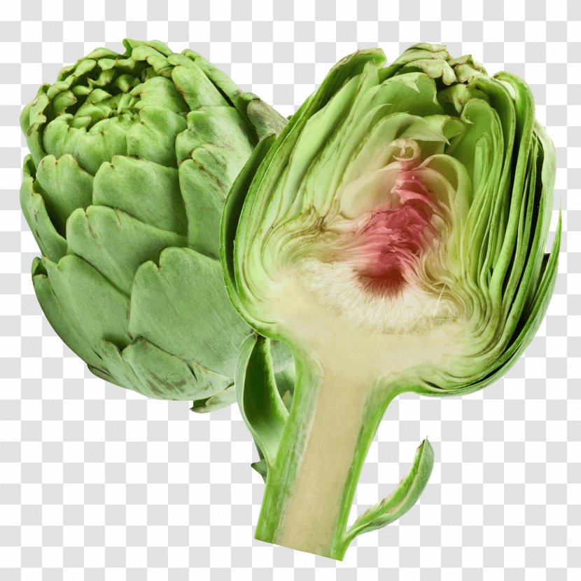 Frozen Food Cartoon - Broccoli - Brussels Sprout Lettuce Transparent PNG