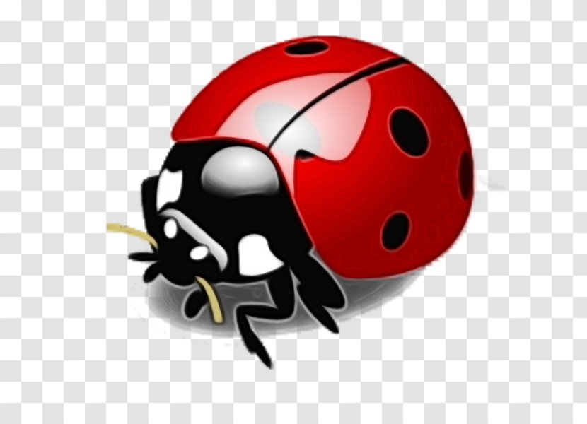 Vector Graphics Clip Art Ladybird Beetle Image Stock.xchng - Insect - Invertebrate Transparent PNG