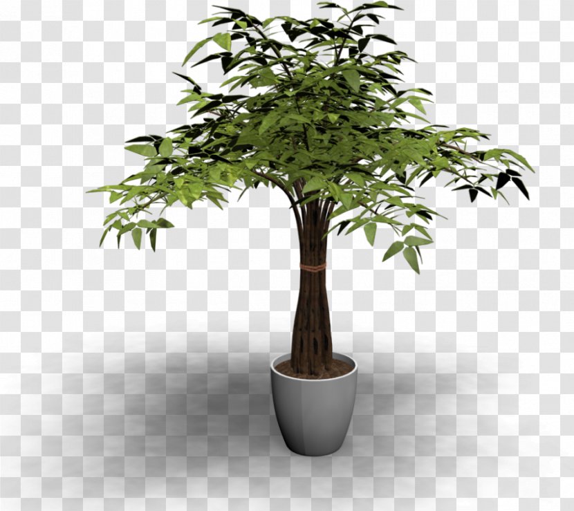 Cartoon Palm Tree - Trees - World Shrub Transparent PNG