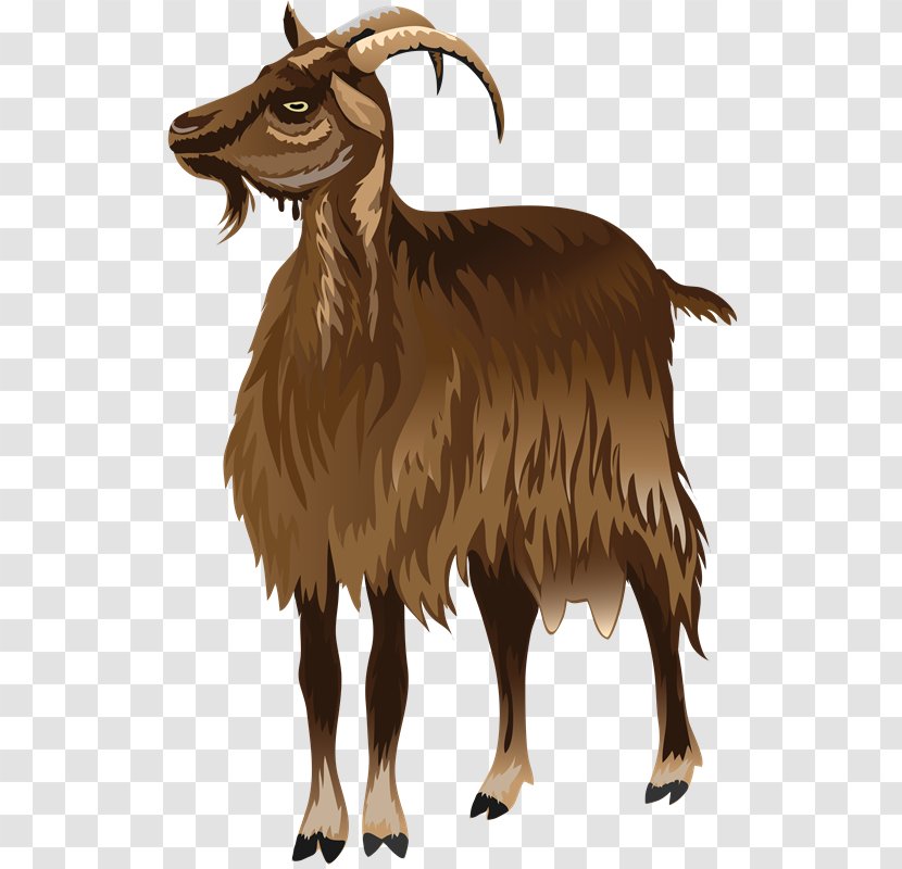 Barbary Sheep Sheep–goat Hybrid Argali - Drawing - Oveja Transparent PNG