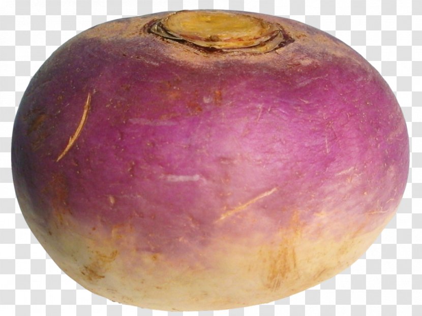 Daikon Turnip Rutabaga Root Vegetables - Greens - Vegetable Transparent PNG