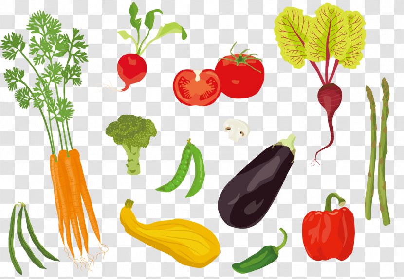 Tomato Adobe Illustrator Illustration - Paprika - Vegetables Vector Material Transparent PNG
