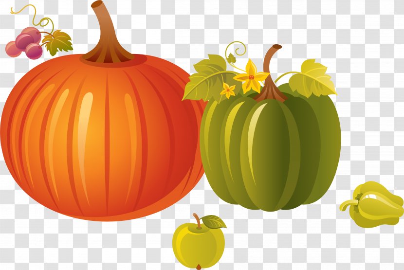 Calabaza Vegetarian Cuisine Pumpkin Winter Squash Gourd - Food - Hand Painted Vegetable Decorations Transparent PNG