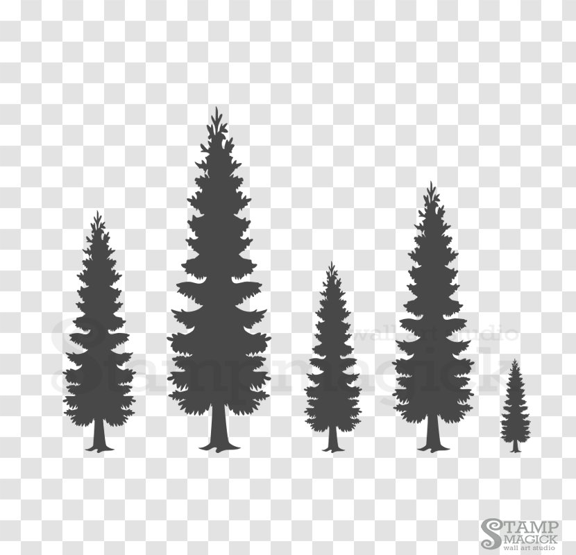 Spruce Wall Decal Pine Sticker - Christmas Tree Transparent PNG