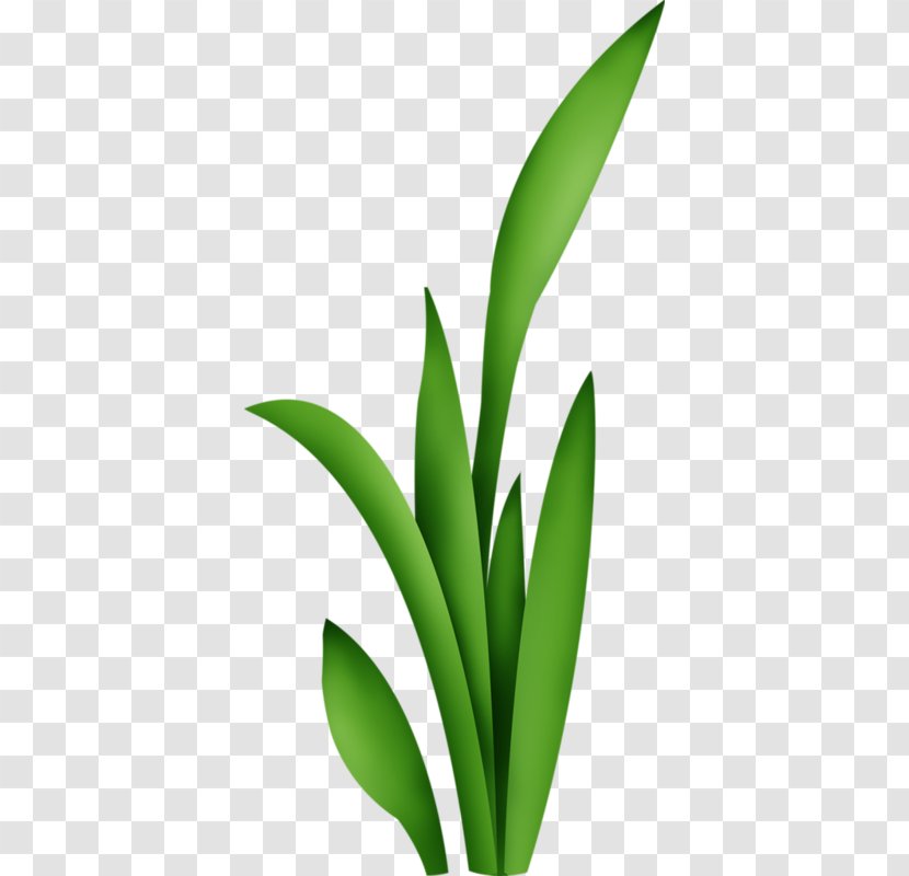 Leaf Drawing Stencil Paper - Plant Stem - Hojas De Papel Transparent PNG