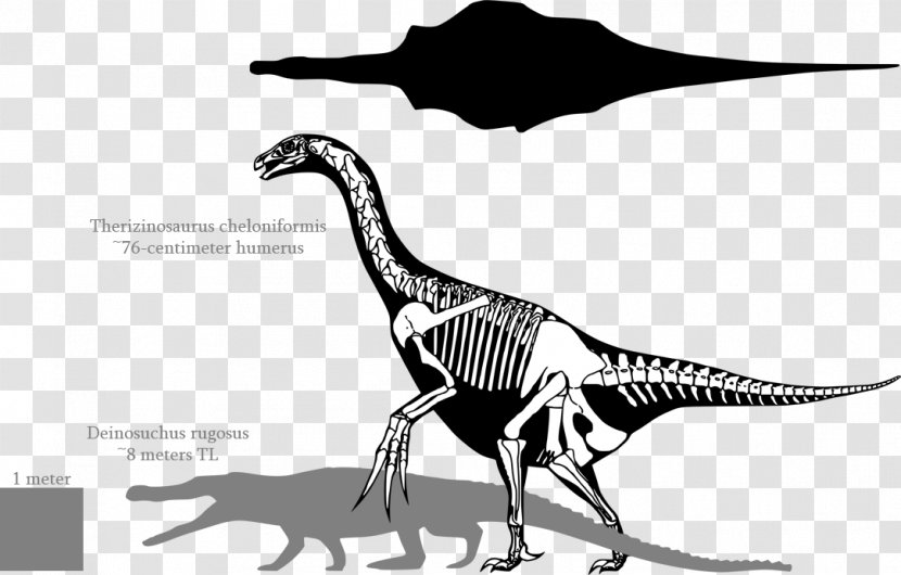 Tyrannosaurus Therizinosaurus Deinosuchus Deinocheirus - Skull Transparent PNG