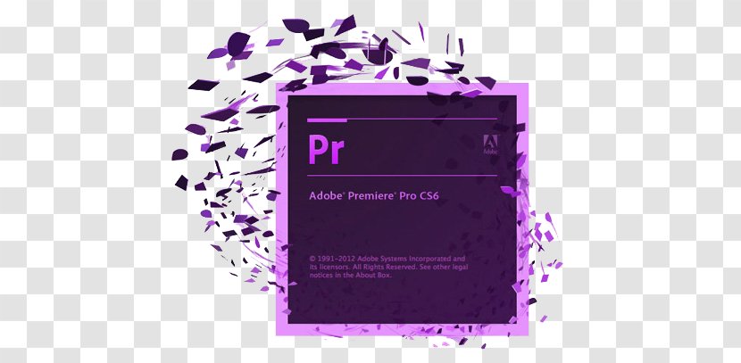 Adobe Premiere Pro Dynamic Link Systems Computer Software Creative Suite - Brand Transparent PNG