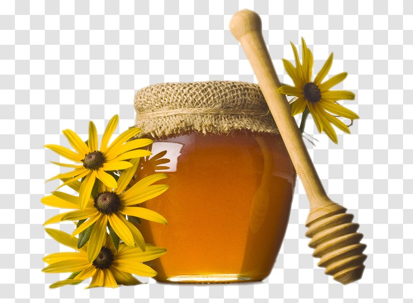 Honey Bee Nectarine Oil Food - Pote De Miel Transparent PNG