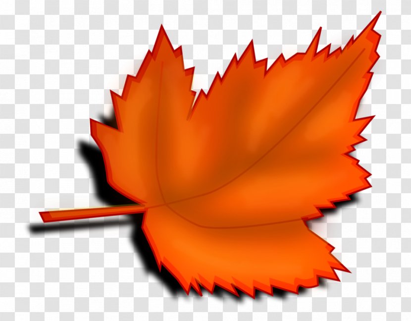Autumn Leaf Color Clip Art - Free Content - Orange Leaves Cliparts Transparent PNG