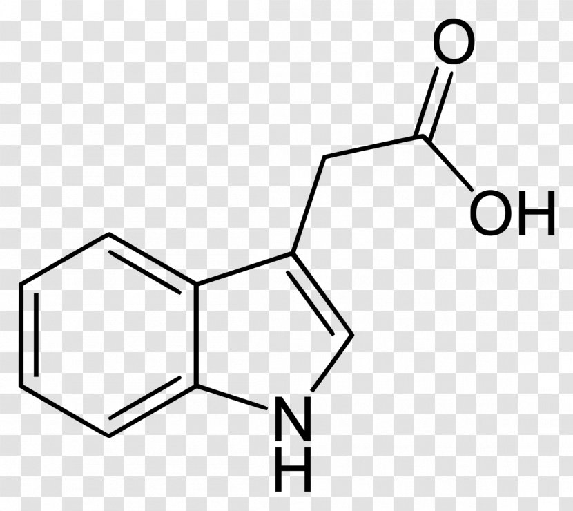 Indole-3-acetic Acid Indole-3-butyric Auxin - Acetic - Plant Transparent PNG