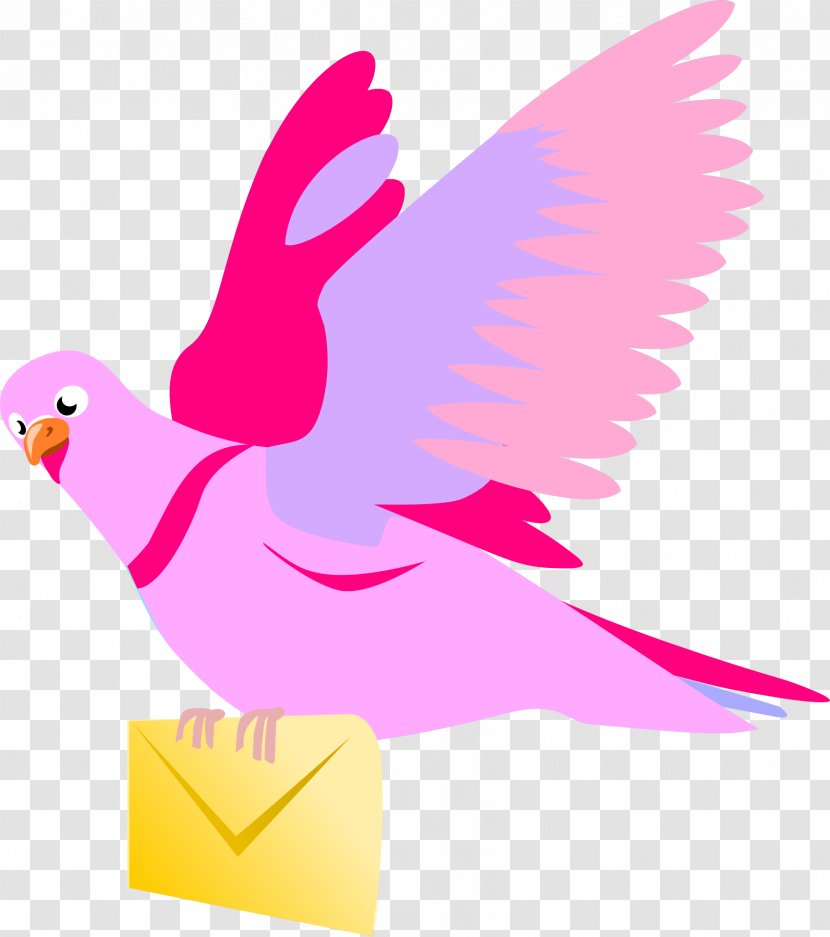 English Carrier Pigeon Columbidae Flight Squab Clip Art - Pink Transparent PNG