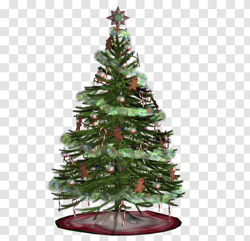 Christmas Tree Ornament Spruce - Pine Family - Hu Transparent PNG