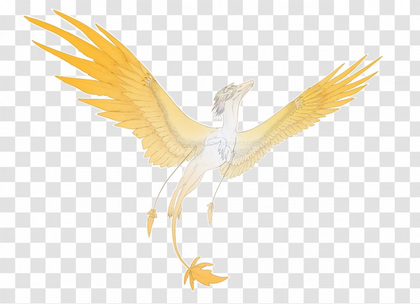 Eagle Bird Fauna Beak - Golden Wings Transparent PNG
